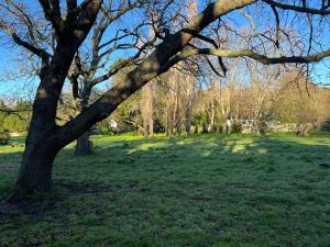 Charming Flatlet with private garden