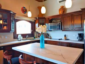 Playa Flamingo penthouse with pacific sunset views - Flamingo Rose Vista