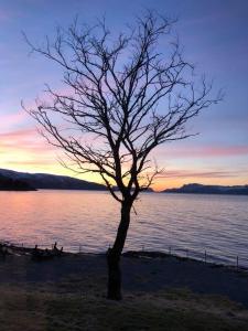 Brekkestranda Fjordhotel