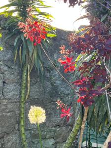 King bedroom en-suit bathroom, easy to city centre