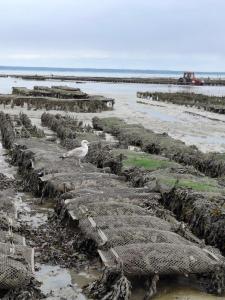 Appartements LA PORTE BLEUE : photos des chambres