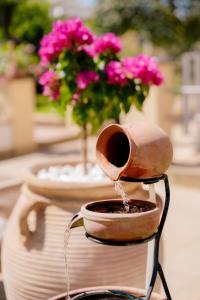 B&B PROCHYTEA