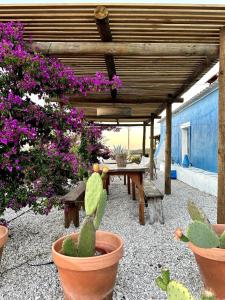 CasAzul Slow Stay in Nature