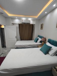 Oasis marina الاحياء