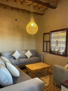 Skoura Ranch Palm Grove