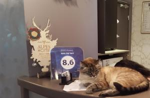 Hotels Altis Val Vert : photos des chambres