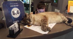 Hotels Altis Val Vert : photos des chambres