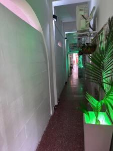 Hospedaje Artigas-Silvia Borda