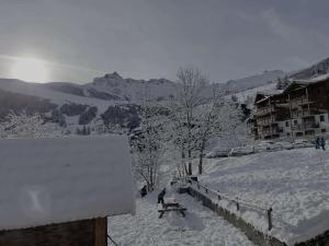 Appartements Residence Le Valmorel - Le Valmorel -Chalet individuel, cadre reposant avec une magnifique vue MAE-4684 : photos des chambres