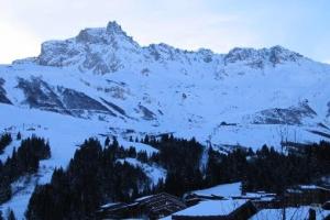 Résidence Le Valmorel - Le Valmorel -Chalet individuel, cadre reposant avec une magnifique vue MAE-4684