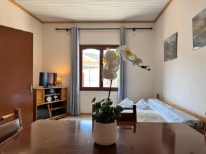 Konstantinos Junior Apartment II