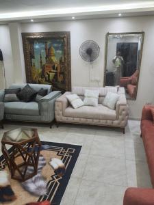 شارع أحمد قاسم جودة الدور الخامس عمارة رقم ثلاثة