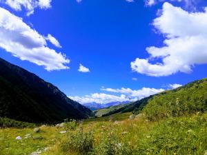 Adishi Zhora Kaldani Guest House