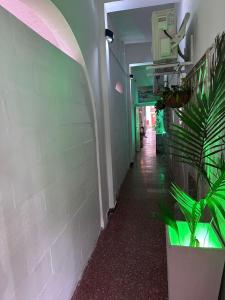 Hospedaje En Avenida Artigas 1