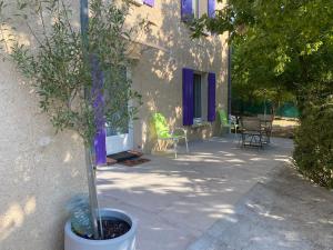 Maisons de vacances Gite Fratellu : photos des chambres