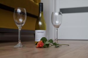 Apartament Toruń Orbita free parking