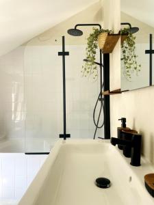 Appartements La Rosa : photos des chambres