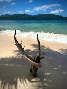 Oasis en la naturaleza Rancho alto bonito