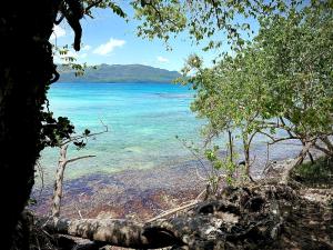 Oasis en la naturaleza Rancho alto bonito