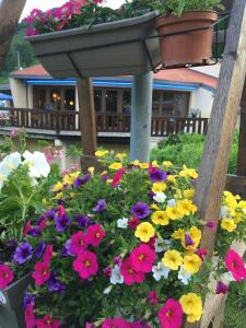 Hotels Le Sestriere : photos des chambres