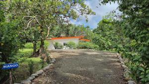 Villas Pura Vida - Mango