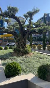 2-х комнатная квартира в ЖК класса Luxe, Тосмур