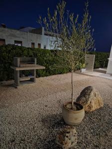 Wonderful apartment with seaview in front of beach at 200 meters from the beach located in Avola