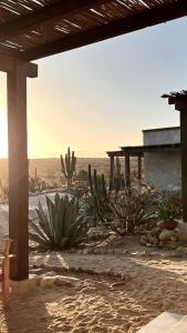 Desierto Azul Boutique Hotel