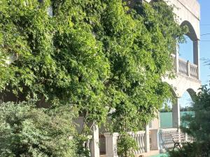 Вилла Александра