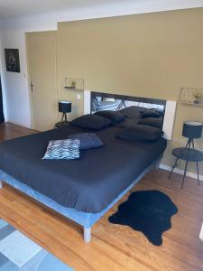 B&B / Chambres d'hotes la Pause Pyrenees : photos des chambres