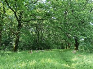 5 star holiday home in Hovborg-By Traum