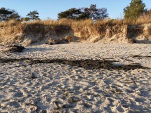 6 person holiday home in Idestrup-By Traum