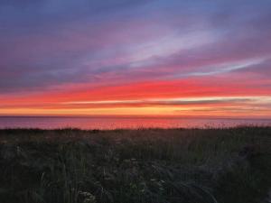 Rustic Retreat at Hemmet Strand-By Traum