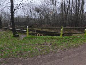 4 person holiday home in Toftlund-By Traum