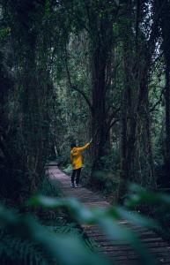 Container con opción de tina temperada