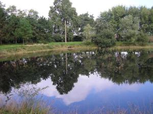 Maisons de vacances Holiday Home in Gargas with Pool and Nature : photos des chambres