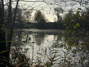 Maisons de vacances House in Clohars-Carnoet with Exotic Park : photos des chambres