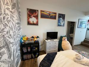 Appartements Luxury House in Le Mans near Old Town : photos des chambres