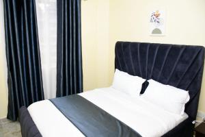 Ace full-furnished in Kitale 360 luxury