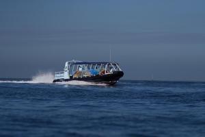 Bubus Toy Yate Privado