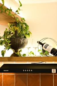 Urban Studio in the historic center of São Paulo