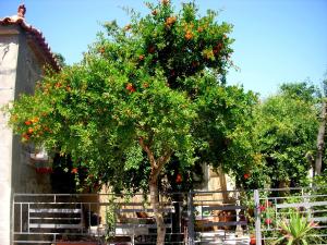 Euripides House Lesvos Greece