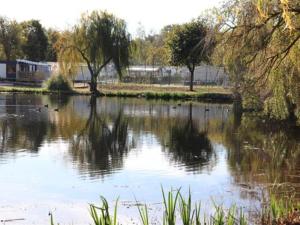 Campings Mobil-home avec terrasse - 2 chambres a Bretignolles-sur-Mer - API-1-52-300 : photos des chambres