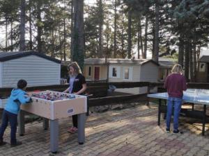 Campings Mobil-Home avec Jacuzzi pour 4 personnes et Terrasse - API-1-52-465 : photos des chambres