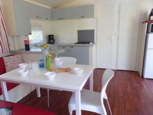 Campings Mobil-home confortable avec terrasse pour 6 personnes - API-1-52-647 : photos des chambres
