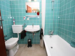 Apartment Maria Alm near Hochkönig Ski Slopes