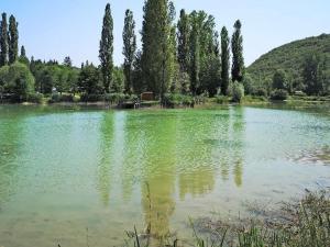 Campings Mobil Home avec Terrasse, 3 Chambres, 6 Pers. - API-1-52-247 : photos des chambres