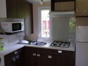 Campings Mobil Home avec Terrasse pour 4 personnes - API-1-52-483 : photos des chambres