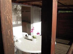 Campings Mobil-home confortable avec terrasse pour 2 a Lezignan-Corbieres - API-1-52-710 : photos des chambres