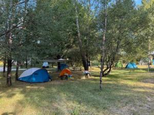 Campings Mobil-home cosy avec terrasse pour 2 personnes - API-1-52-575 : photos des chambres